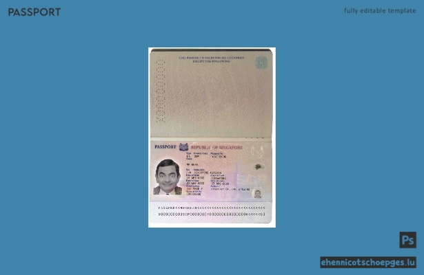 Singapurischer Reisepass 2006-2017 – Beispielvorschau